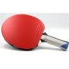Rakietka Butterfly Timo Boll Platin AN- anatomiczny 